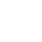 busIcon