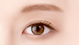 Eye Middle Age Eyelid Natural Adhesion image