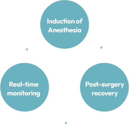 AB rhinoplasty safe anesthesia system illustration