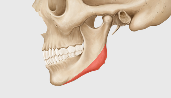 Step 2. Long Curved Resection Preserving the Angle Below the Ear surgery illustration